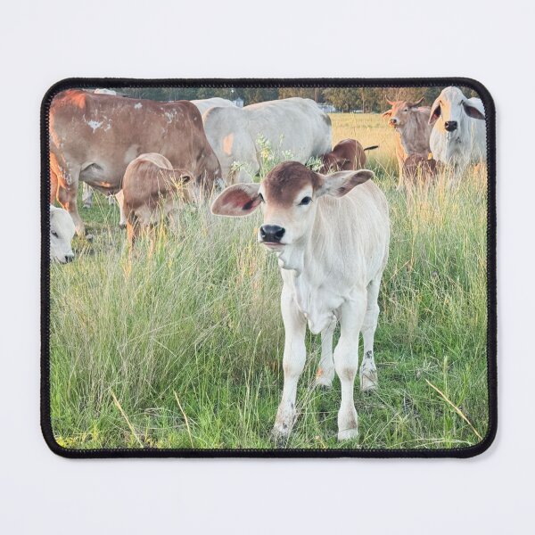 Item preview, Red top heifer designed and sold by Penny Kittel.