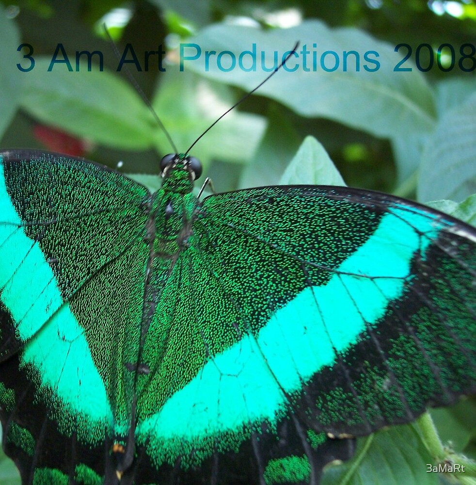 " Emerald Green Swallowtail Butterfly Macro Photograph" by 3aMaRt