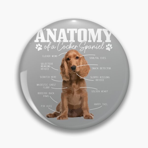 Item preview, Cocker Spaniel Anatomy Funny Cute Dog Cocker Spaniel Mom Dad designed and sold by GreggRoss.