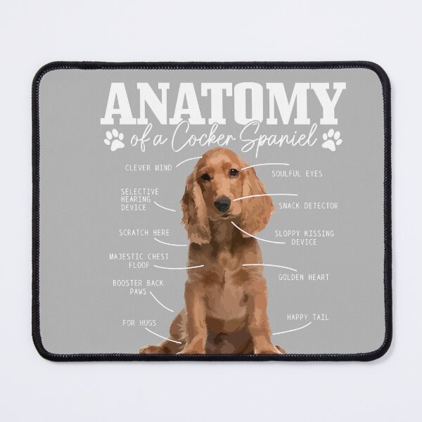 Item preview, Cocker Spaniel Anatomy Funny Cute Dog Cocker Spaniel Mom Dad designed and sold by GreggRoss.
