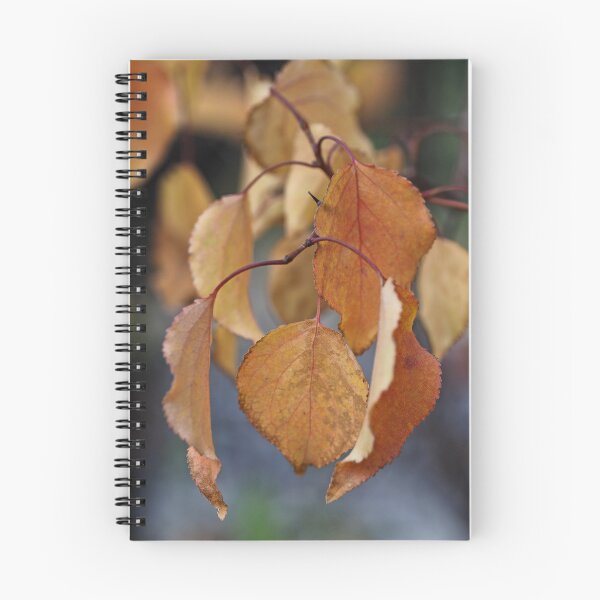 Item preview, Golden Autumn Leaves in Soft Natural Light designed and sold by onubi.