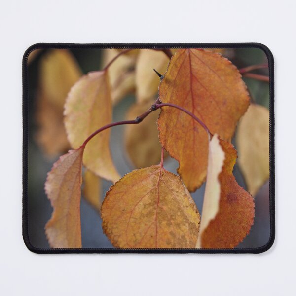 Item preview, Golden Autumn Leaves in Soft Natural Light designed and sold by onubi.