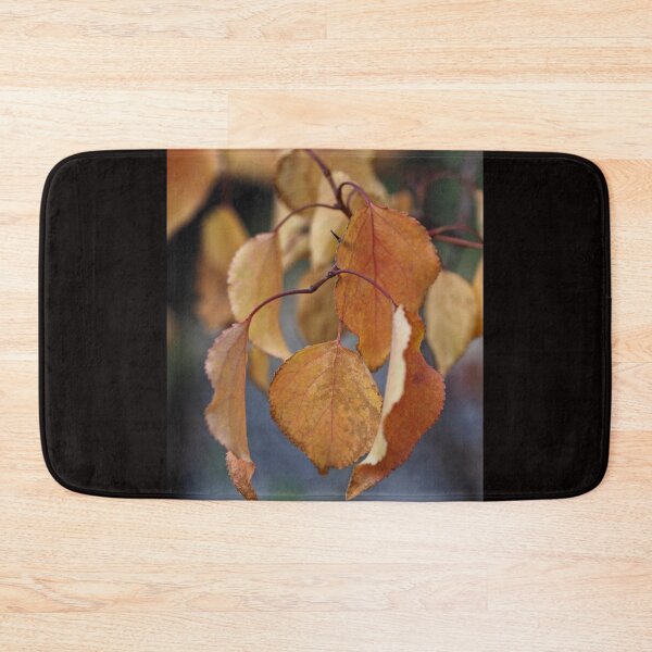 Item preview, Golden Autumn Leaves in Soft Natural Light designed and sold by onubi.