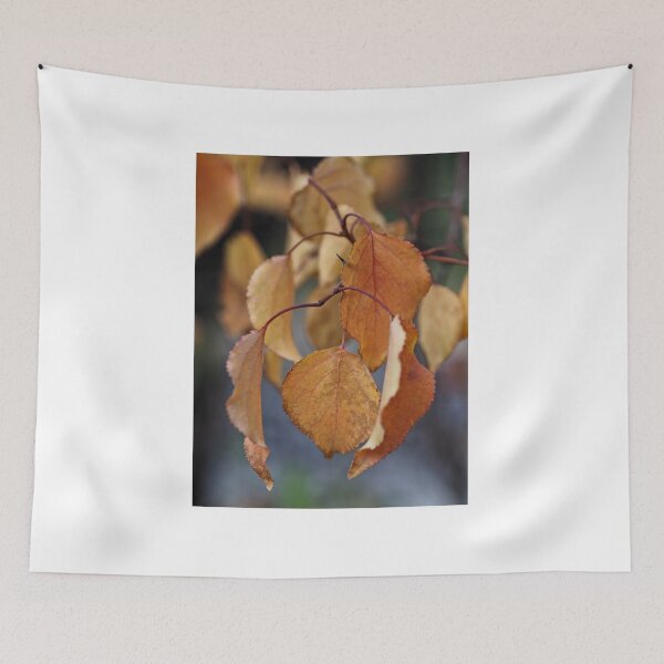 Item preview, Golden Autumn Leaves in Soft Natural Light designed and sold by onubi.