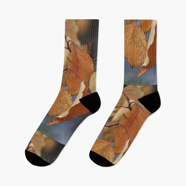 Item preview, Golden Autumn Leaves in Soft Natural Light designed and sold by onubi.