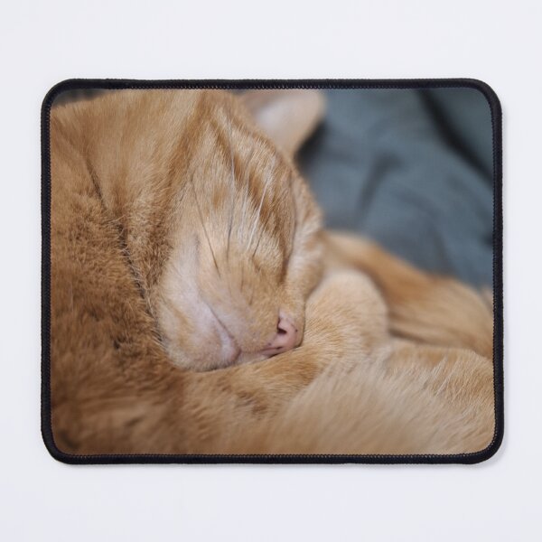 Item preview, Jerry The Daisy Lane Books Shop Cat designed and sold by Daisy Lane Gifts UK.