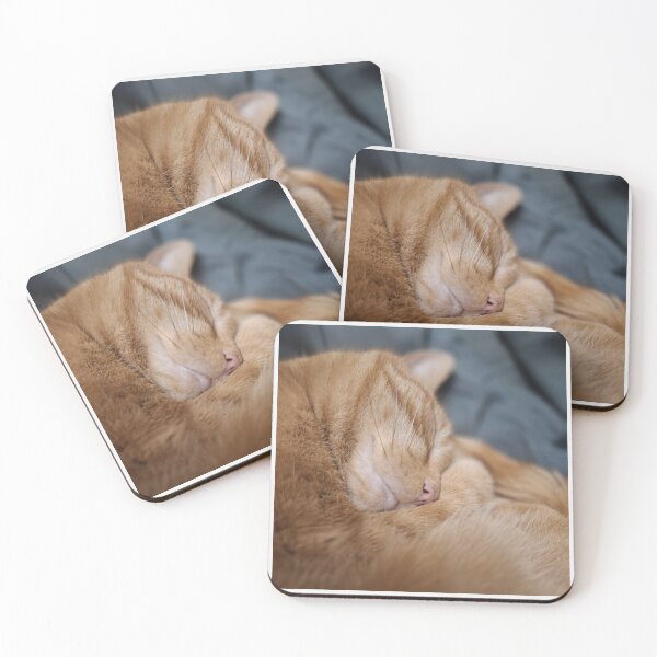 Item preview, Jerry The Daisy Lane Books Shop Cat designed and sold by Daisy Lane Gifts UK.