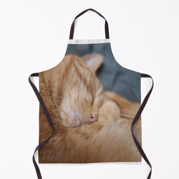 Item preview, Jerry The Daisy Lane Books Shop Cat designed and sold by Daisy Lane Gifts UK.