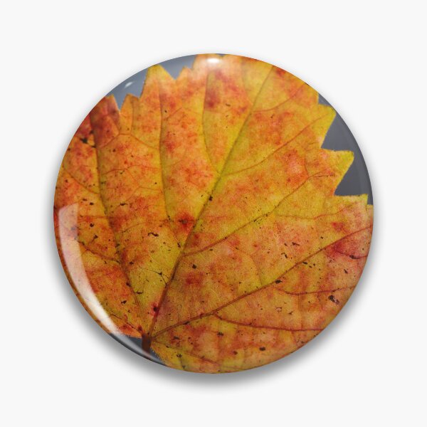 Item preview, Colorful Autumn Leaf Close Up with Soft Background designed and sold by onubi.
