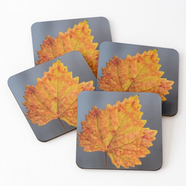 Item preview, Colorful Autumn Leaf Close Up with Soft Background designed and sold by onubi.