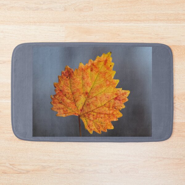 Item preview, Colorful Autumn Leaf Close Up with Soft Background designed and sold by onubi.