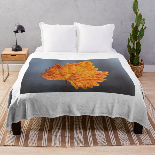 Item preview, Colorful Autumn Leaf Close Up with Soft Background designed and sold by onubi.