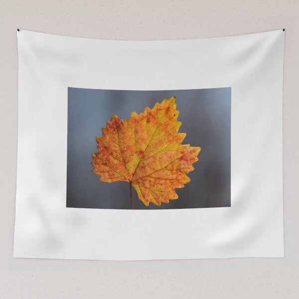 Item preview, Colorful Autumn Leaf Close Up with Soft Background designed and sold by onubi.