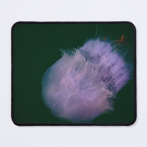 Item preview, Tripping on Nature Series: Nomadic Jellyfish designed and sold by Labda Kesho | Maybe Tomorrow | Living Art & Science Exhibition.