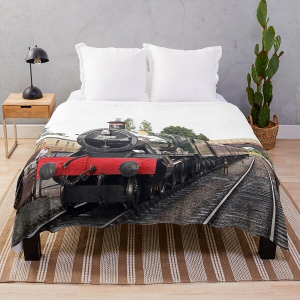 Item preview, All Aboard  designed and sold by Murph's Images.