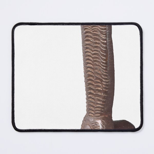 Item preview, Vintage Crocodile Door Knocker | Art Nouveau designed and sold by GammaRay.