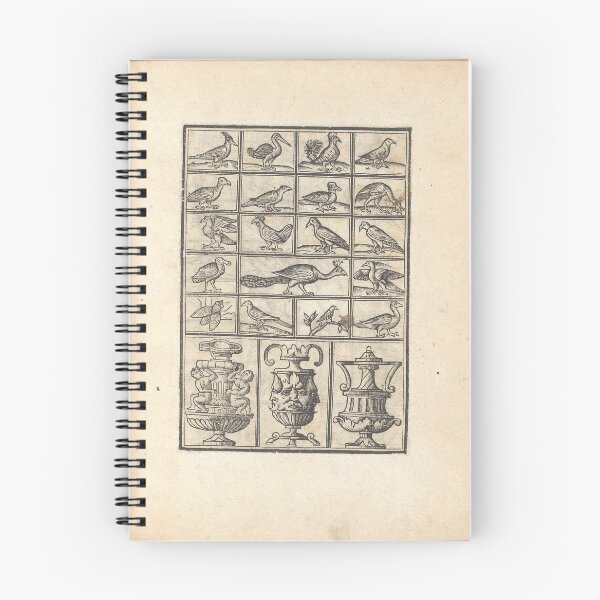 Item preview, Pagano Triunfo Virtud | Arte de aves designed and sold by GammaRay.