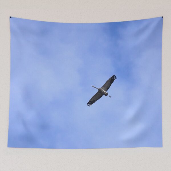 Item preview, The flying crane. Spring 2026 designed and sold by Jouko Lehto Photography.
