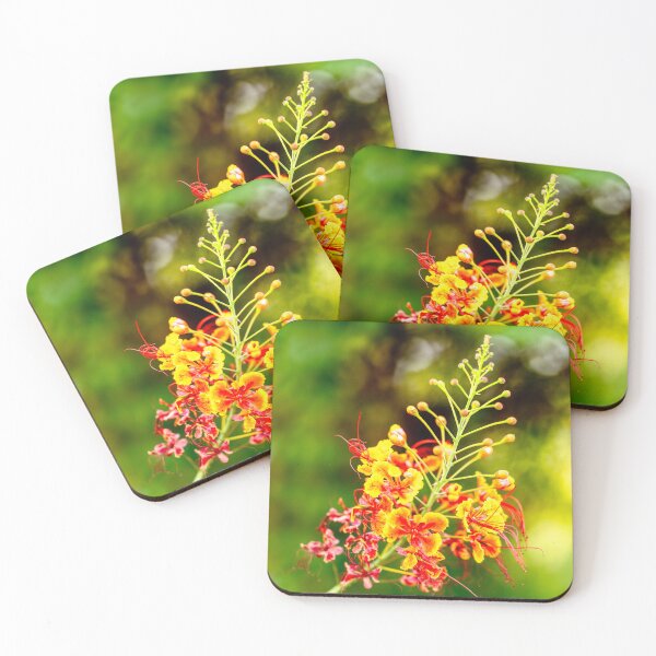 Item preview, Vibrant Pride of Barbados (Caesalpinia pulcherrima)  designed and sold by AbulailArt.