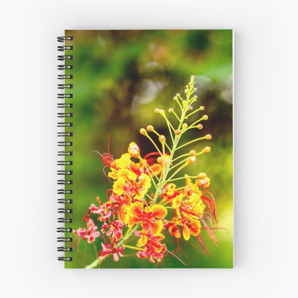 Item preview, Vibrant Pride of Barbados (Caesalpinia pulcherrima)  designed and sold by AbulailArt.