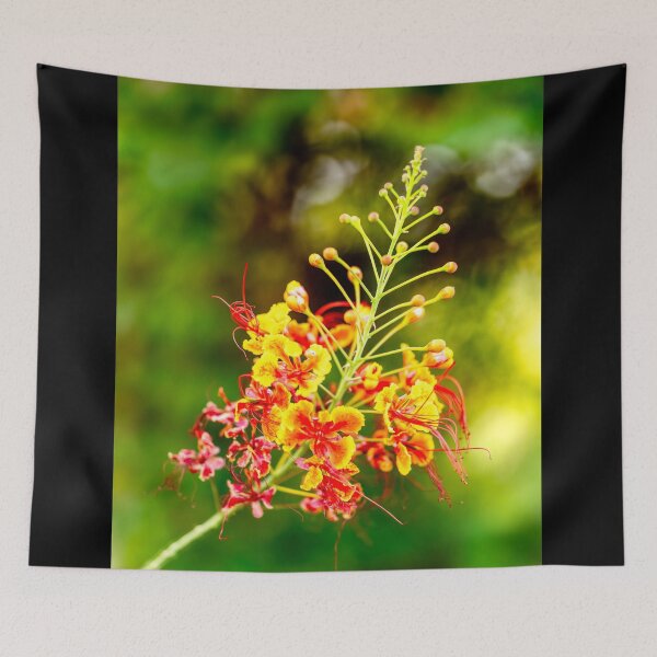 Item preview, Vibrant Pride of Barbados (Caesalpinia pulcherrima)  designed and sold by AbulailArt.