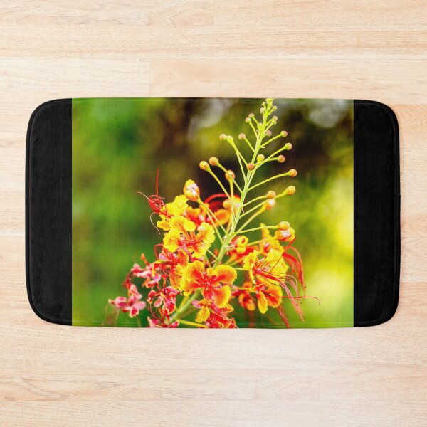 Item preview, Vibrant Pride of Barbados (Caesalpinia pulcherrima)  designed and sold by AbulailArt.