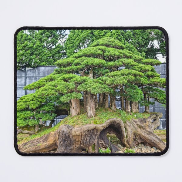 Item preview, Da Lat Imperial Bonsai - Ancient Living Art | Vietnam Zen Botanical Photography designed and sold by Ross.A.Campbell.