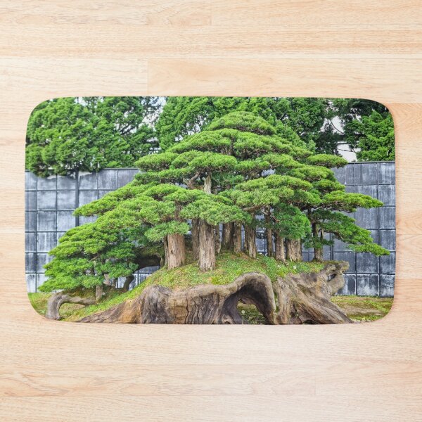 Item preview, Da Lat Imperial Bonsai - Ancient Living Art | Vietnam Zen Botanical Photography designed and sold by Ross.A.Campbell.