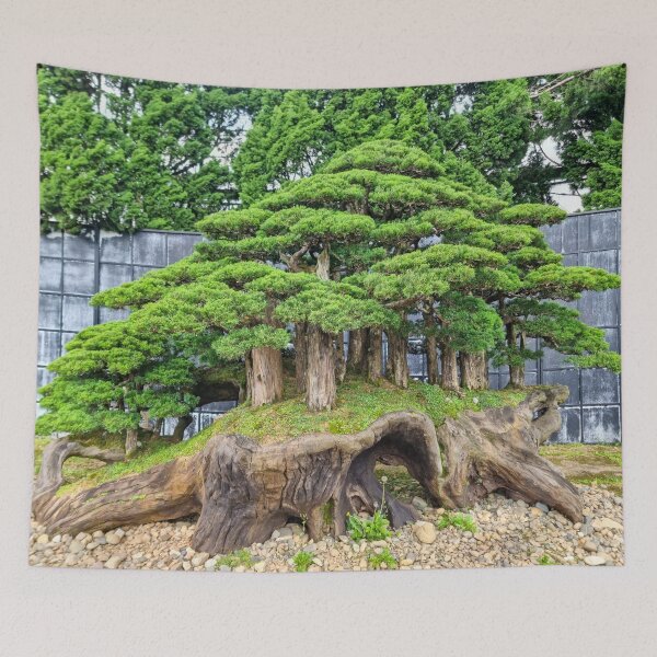 Item preview, Da Lat Imperial Bonsai - Ancient Living Art | Vietnam Zen Botanical Photography designed and sold by Ross.A.Campbell.