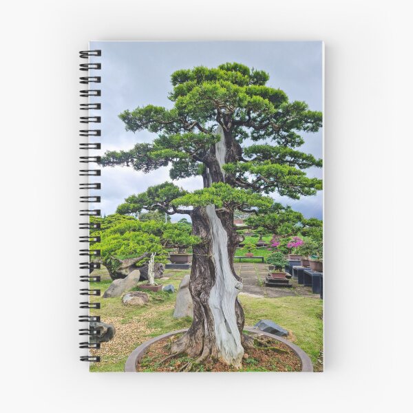 Item preview, Da Lat Imperial Bonsai - Ancient Living Art | Vietnam Zen Botanical Photography designed and sold by Ross.A.Campbell.