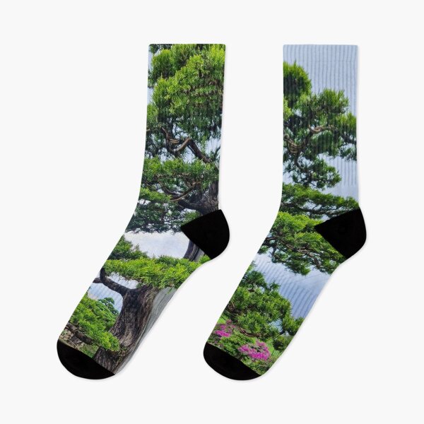 Artikelvorschau, Da Lat Kaiserliche Bonsai – Lebendige Kunst der Antike | Vietnam Zen-Botanische Fotografie entworfen und verkauft von Ross.A.Campbell.