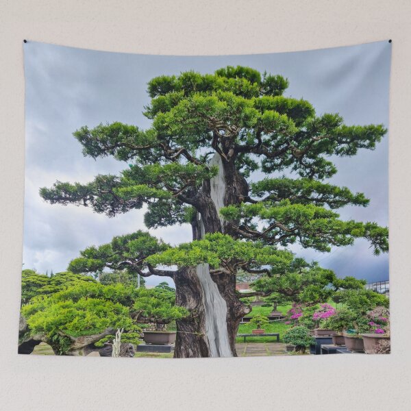 Item preview, Da Lat Imperial Bonsai - Ancient Living Art | Vietnam Zen Botanical Photography designed and sold by Ross.A.Campbell.
