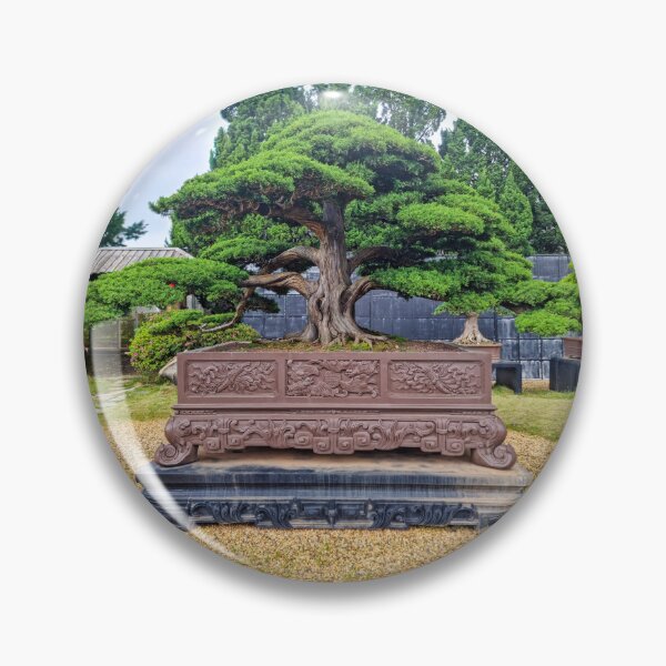 Artikelvorschau, Da Lat Kaiserliche Bonsai – Lebendige Kunst der Antike | Vietnam Zen-Botanische Fotografie entworfen und verkauft von Ross.A.Campbell.