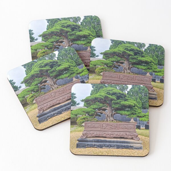 Item preview, Da Lat Imperial Bonsai - Ancient Living Art | Vietnam Zen Botanical Photography designed and sold by Ross.A.Campbell.