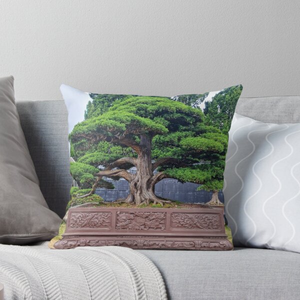 Artikelvorschau, Da Lat Kaiserliche Bonsai – Lebendige Kunst der Antike | Vietnam Zen-Botanische Fotografie entworfen und verkauft von Ross.A.Campbell.