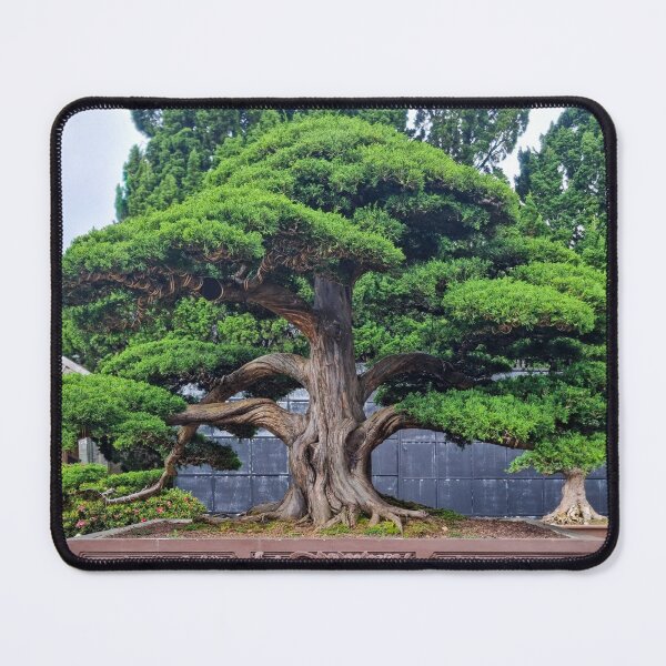 Item preview, Da Lat Imperial Bonsai - Ancient Living Art | Vietnam Zen Botanical Photography designed and sold by Ross.A.Campbell.
