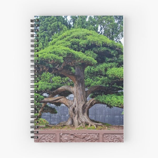 Item preview, Da Lat Imperial Bonsai - Ancient Living Art | Vietnam Zen Botanical Photography designed and sold by Ross.A.Campbell.