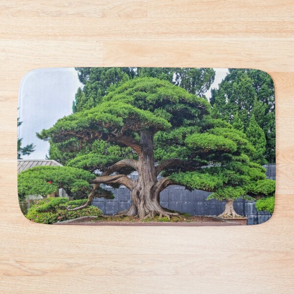 Item preview, Da Lat Imperial Bonsai - Ancient Living Art | Vietnam Zen Botanical Photography designed and sold by Ross.A.Campbell.