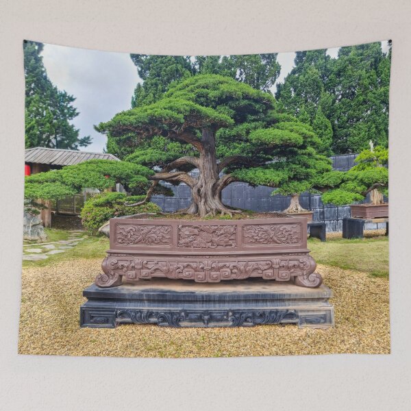Item preview, Da Lat Imperial Bonsai - Ancient Living Art | Vietnam Zen Botanical Photography designed and sold by Ross.A.Campbell.