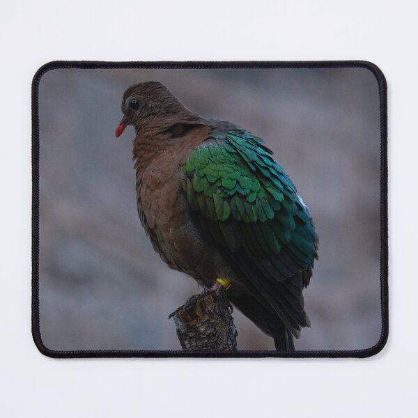 Item preview, Emerald Winged Bird Portrait designed and sold by flowlens.media.