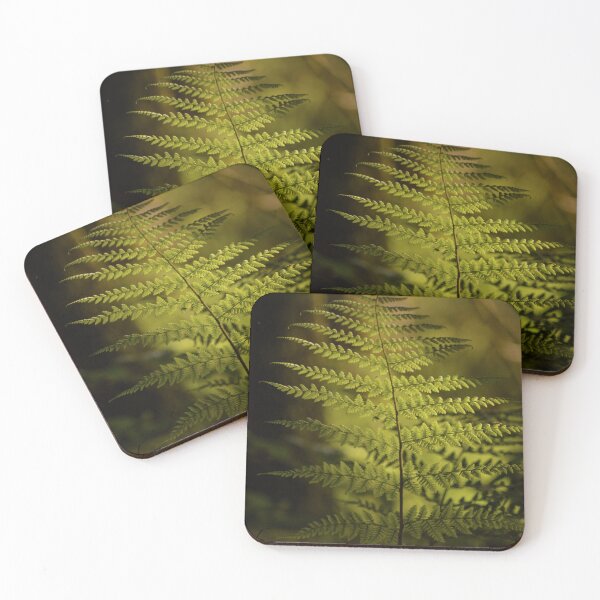 Aperçu de l'œuvre Golden Fern | Botanical Fine Art Photography créée et vendue par SilentBloomLab.