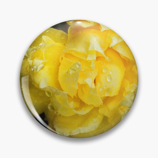 Aperçu de l'œuvre Golden Yellow Rose | Moody Floral Photography créée et vendue par SilentBloomLab.