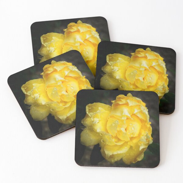 Item preview, Golden Yellow Rose | Moody Floral Photography designed and sold by SilentBloomLab.
