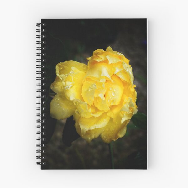 Item preview, Golden Yellow Rose | Moody Floral Photography designed and sold by SilentBloomLab.