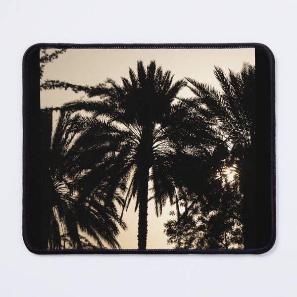 Item preview, Silhouette of Palm Trees Against a Soft Sunset Sky in the United Arab Emirates designed and sold by AbulailArt.