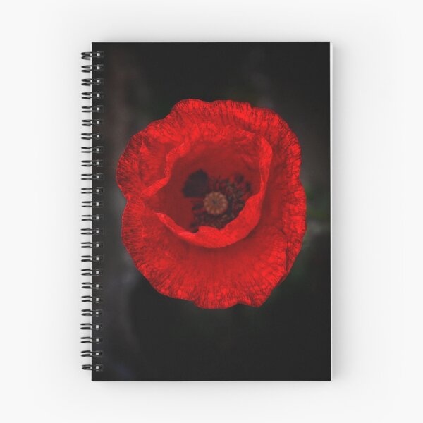 Item preview, Velvet Red Poppy | Dark Botanical Wall Art designed and sold by SilentBloomLab.