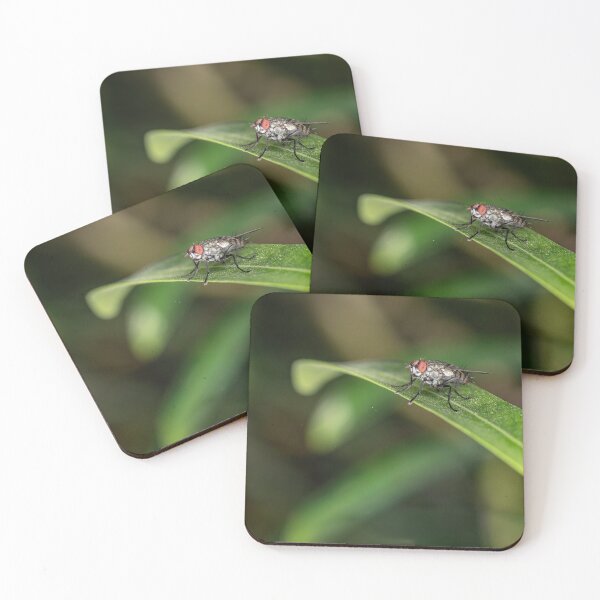 Item preview, Macro Shot of a Common Housefly with Red Eyes Resting on a Green Leaf designed and sold by AbulailArt.