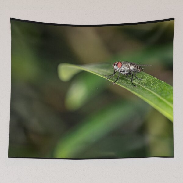 Item preview, Macro Shot of a Common Housefly with Red Eyes Resting on a Green Leaf designed and sold by AbulailArt.