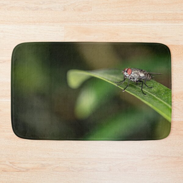 Item preview, Macro Shot of a Common Housefly with Red Eyes Resting on a Green Leaf designed and sold by AbulailArt.