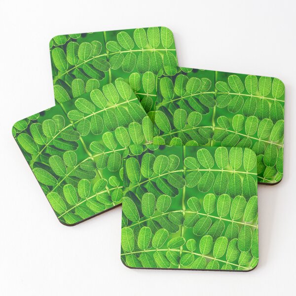 Item preview, Detailed Close-up of Symmetrical Green Pinnate Leaves Showing Intricate Vein Patterns designed and sold by AbulailArt.